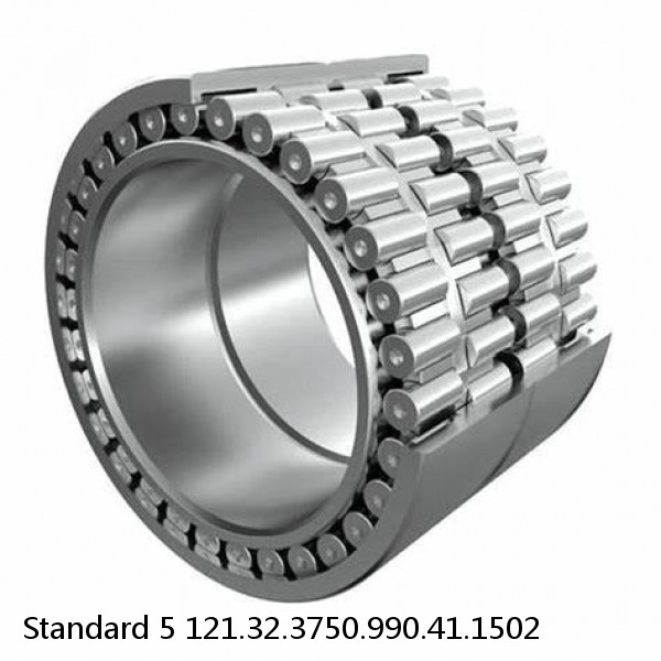 121.32.3750.990.41.1502 Standard 5 Slewing Ring Bearings