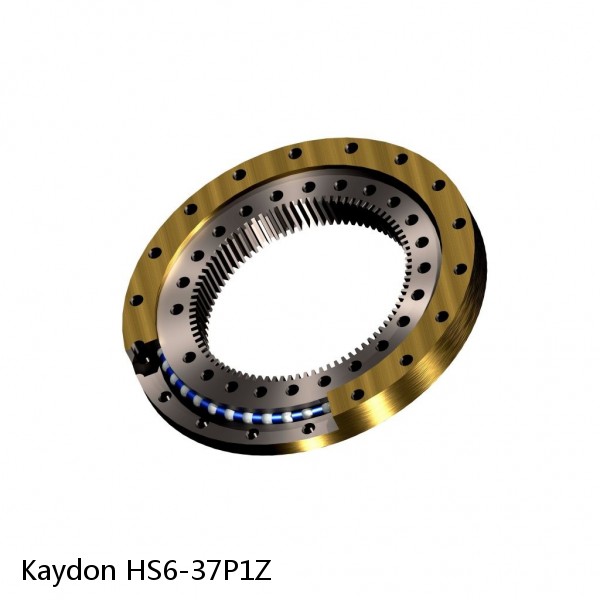 HS6-37P1Z Kaydon Slewing Ring Bearings