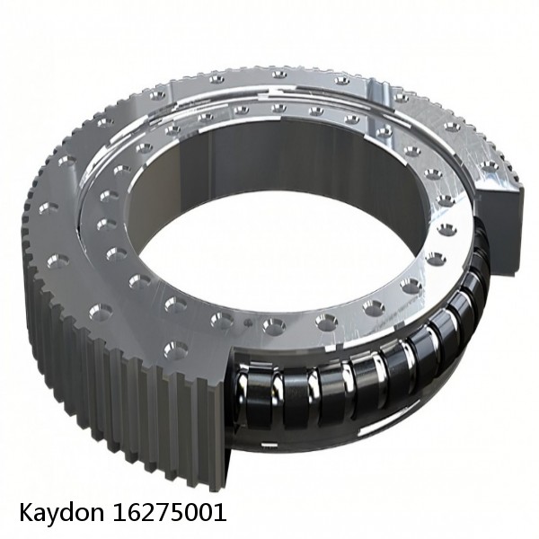 16275001 Kaydon Slewing Ring Bearings