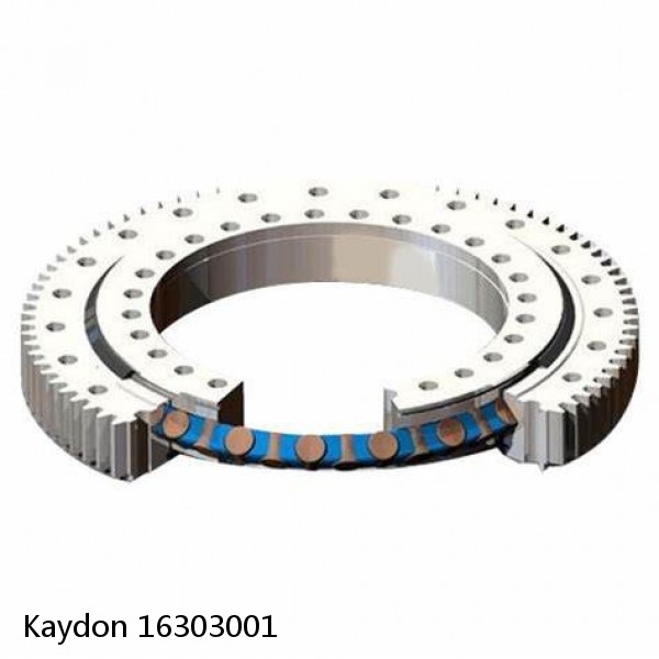 16303001 Kaydon Slewing Ring Bearings