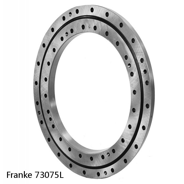 73075L Franke Slewing Ring Bearings